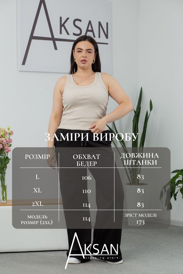 Штани Aksan 25.2589 Чорний
