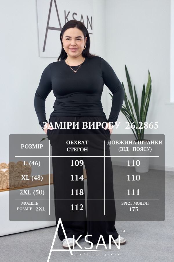 Штани Aksan 26.2865 Чорний